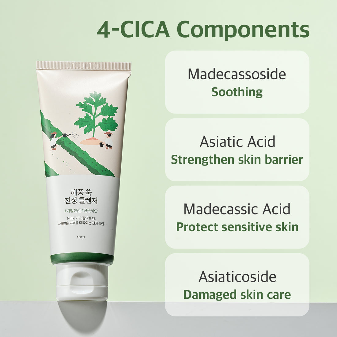 Round Lab Mugwort Calming Cleanser
